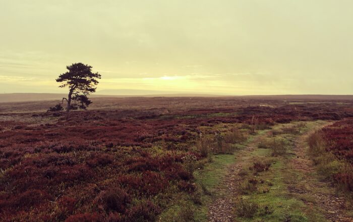Landscapes By Simon Anley Photography